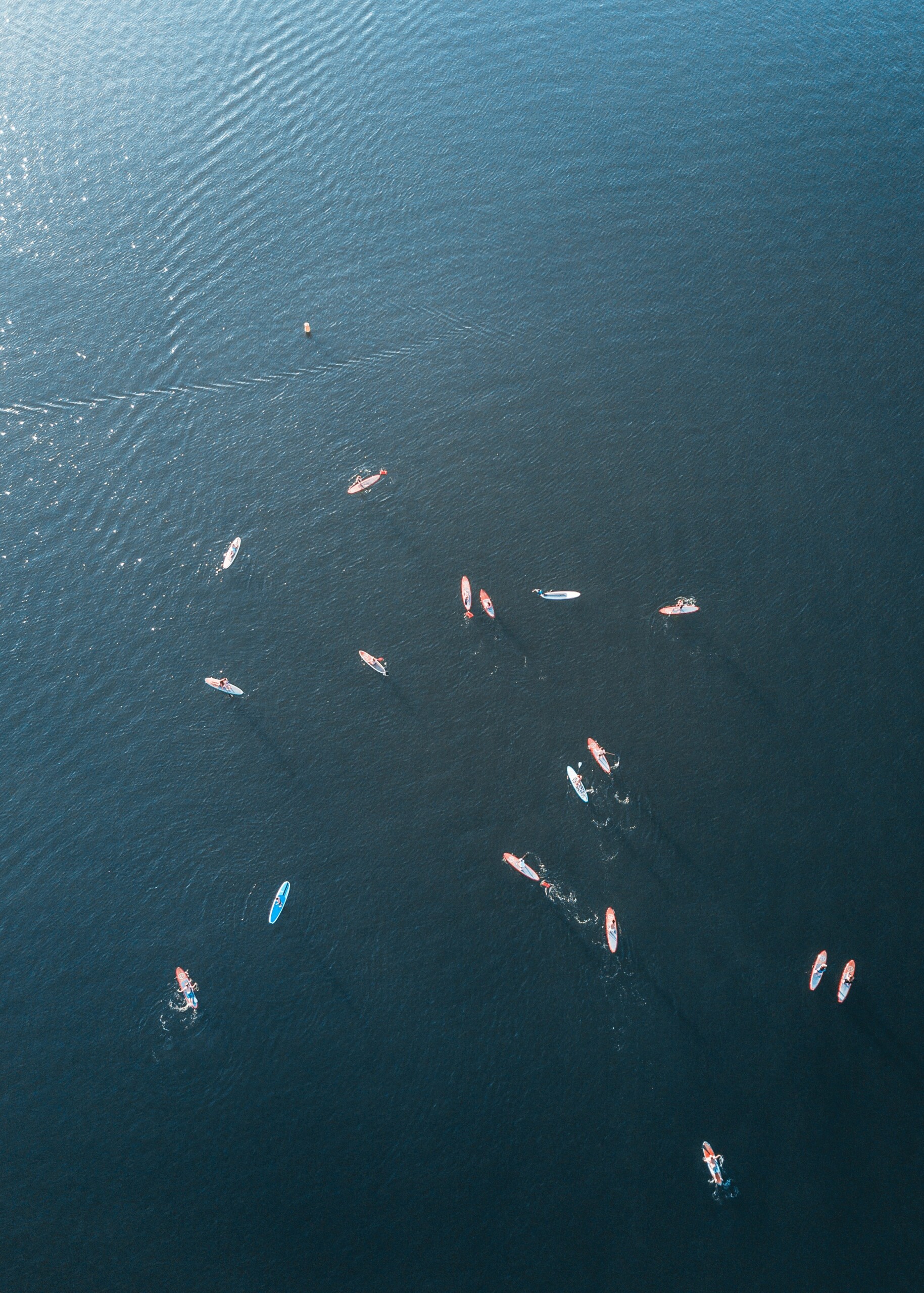 San Diego Surf School Riding waves for a greener future.