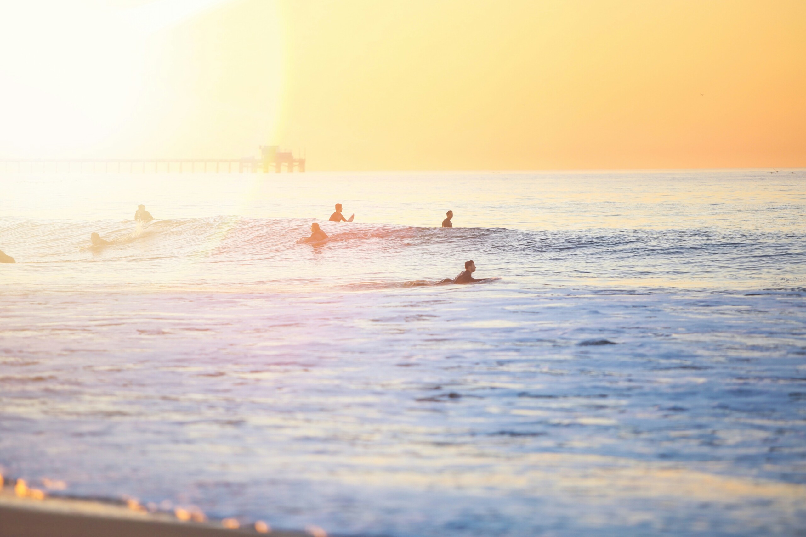 Competitive Surfing Culture