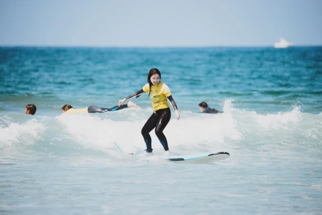 The holidays are right around the corner and the waves are getting better and better for beginner - intermediate style surfing!!🏄‍♀️ 👻🍁😎 

Come on down for a private, semiprivate, or group lesson with the best instructors surfing has to offer! #surflessons #sandiegosurf 

_____________________________
San Diego Surf School San Diego, CA
.
🌐 Website: www.sandiegosurfingschool.com
📸: @_danny_camacho
.
☎️ PB Office: (858) 205-7683
☎️ OB Office: (619) 987-0115
.
#SanDiegoSurfSchool
.
.
.
.
.
#SDSSfamily #SanDiego #PacificBeach #OceanBeach #SoCal #WestCoast #SurfLessons #SummerCamp #SurfClass #Summer #MissionBeach #SDSurfTribe #SurfOfTheDay #SummerVibes #CaliforniaLifestyle #SanDiegoSurf #SurfCoach #SDsurf #SanDiegoLiving #SoCalLiving #SDLiving #SurfIsLife #surfvibes #surf