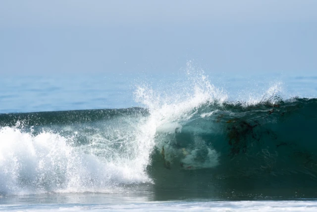 Merry Christmas from San Diego Surf School! 🌊🎅🏼

Looks like Santa’s sleigh had a little detour… straight to the waves! 🎁🏄‍♂️ Today’s gift: perfect conditions and plenty of stoke for all our surfers! 🎄✨

Wishing you all a wave-filled Christmas and a season full of salty adventures! 🌊🎉

#MerryChristmas #SantaBroughtTheWaves #SanDiegoSurf #ChristmasOnTheWaves #holidaysurf 
🌐 Website: www.sandiegosurfingschool.com
.
☎️ PB Office: (858) 205-7683
☎️ OB Office: (619) 987-0115
.
#SanDiegoSurfSchool
.
.
.
.
.
#SDSSfamily #SanDiego #PacificBeach #OceanBeach
#SoCal #WestCoast #SurfLessons #SummerCamp
#SurfClass #Summer #MissionBeach #SDSurfTribe
#SurfOfTheDay #SummerVibes #californialifestyle