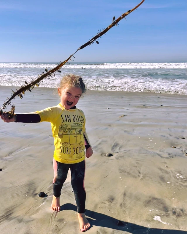 Who says you can't catch waves in the winter? ☀️🌊 It's sunny and warm in San Diego, making it the perfect time to take a surf lesson! 🌴🏄‍♀️ Come ride the waves with us and make the most of this winter sunshine. #SanDiegoSurfSchool #WinterSurf #SunnyDays #SurfLessons
🌐 Website: www.sandiegosurfingschool.com
.
☎️ PB Office: (858) 205-7683
☎️ OB Office: (619) 987-0115
.
#SanDiegoSurfSchool
.
.
.
.
.
#SDSSfamily #SanDiego #PacificBeach #OceanBeach
#SoCal #WestCoast #SurfLessons #SummerCamp
#SurfClass #Summer #MissionBeach #SDSurfTribe
#SurfOfTheDay #SummerVibes #CaliforniaLifestyle
#SanDiegoSurf #SurfCoach #SDsurf #SanDiegoLiving